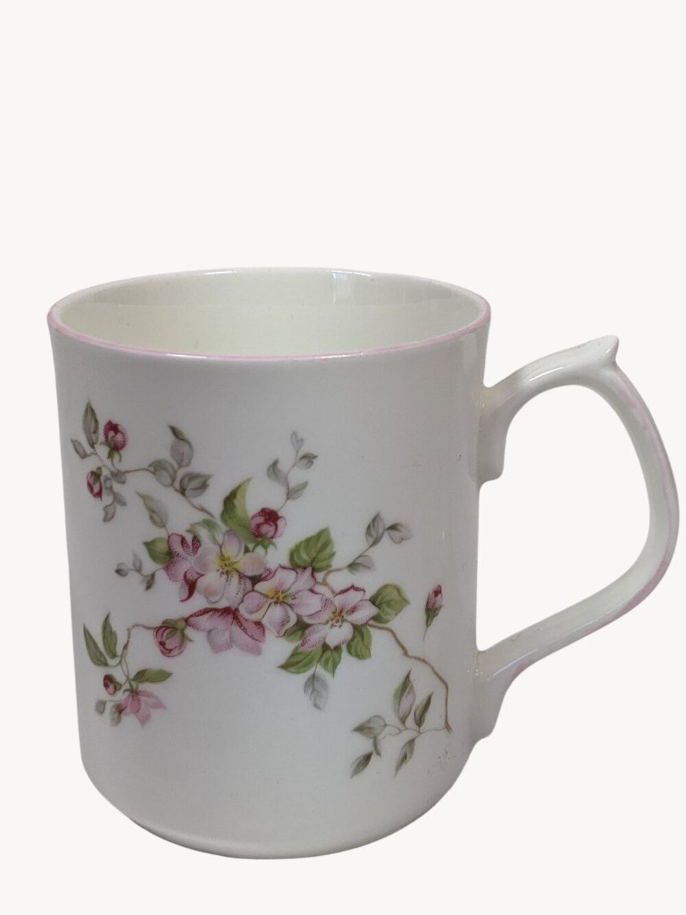 Vintage English Bone China Mug Sakura Jason Works Nanrich Pottery Rare Colorway